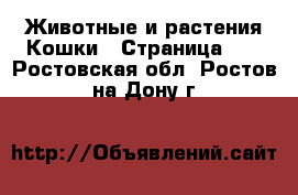 Животные и растения Кошки - Страница 10 . Ростовская обл.,Ростов-на-Дону г.